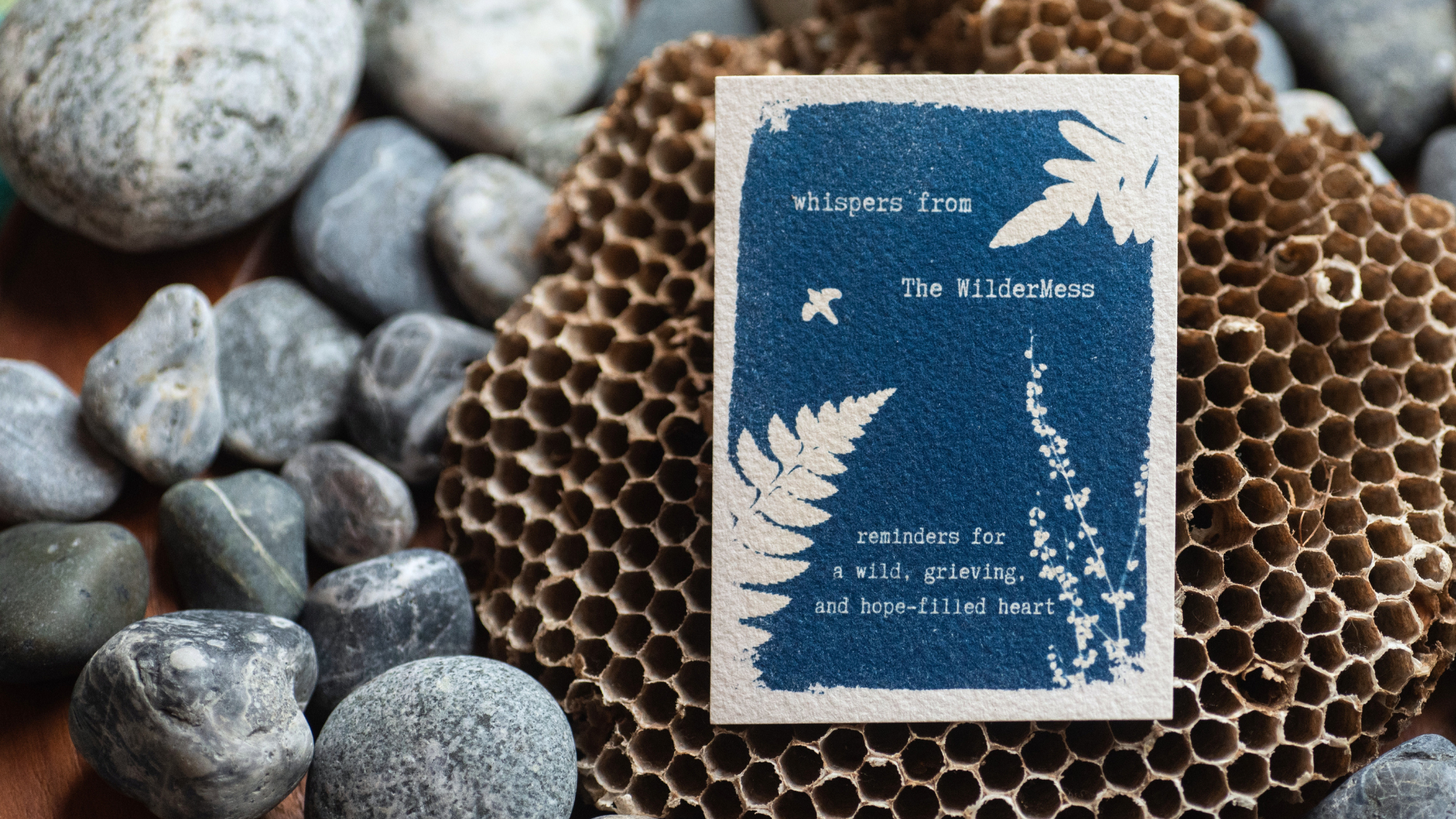 The WilderMess Art Mail Subscription